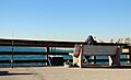 Mujer en el muelle