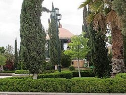 Ojuelos1.JPG