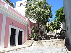 Old San Juan stepped alley, Puerto Rico