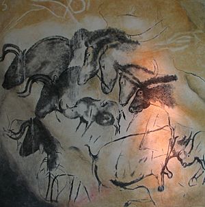 Archivo:Paintings from the Chauvet cave (museum replica)