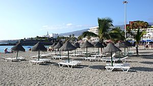 Archivo:Playa de Torviscas