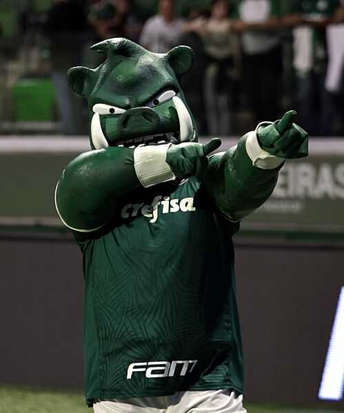 Porco-Gobatto-Palmeiras-jul-2022 02 (cropped)