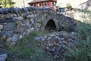 Archivo:Puente de Arriba de Cerulleda sobre el río Curueño