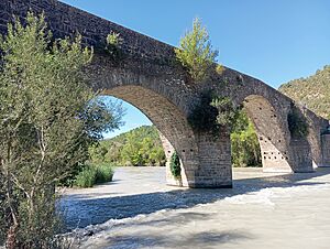 Archivo:Puente de anzánigo