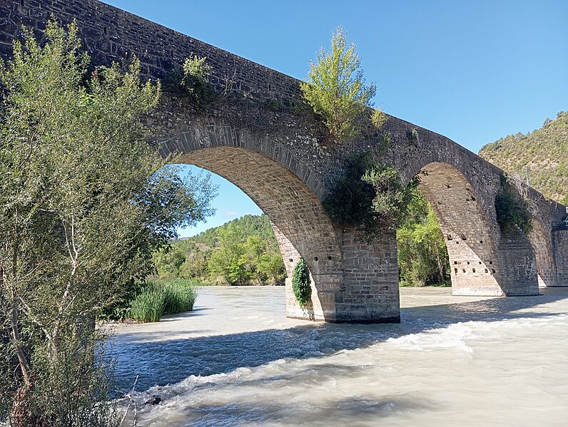 Puente de anzánigo