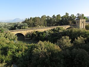 Archivo:Puente del Obispo01