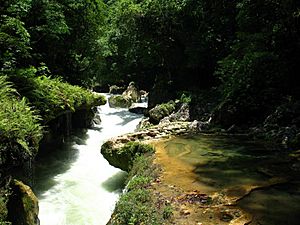 Archivo:Río Cahabón a su paso por Semuc Champey