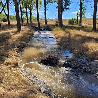 Río Valtodano en Langa (Alejandro del Río, 2023).jpg