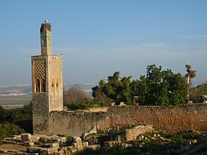 Archivo:Rabat, Chellah ruins 4