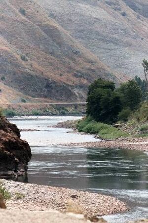 Archivo:Salmon-river-1