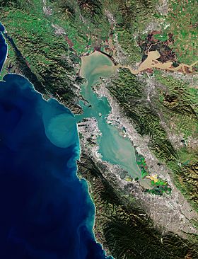 San Francisco Bay ESA22014515.jpeg