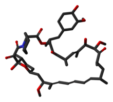 Sirolimus-from-1C9H-3D-sticks.png
