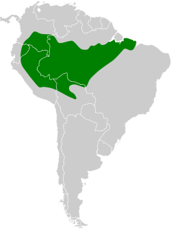 Distribución geográfica del titirijí cejiamarillo.