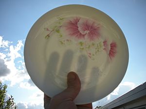 Archivo:Transparent porcelain