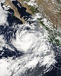Tropical Storm Eugene 1750 UTC July 19 2005.jpg