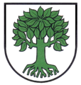 Wappen Bubsheim