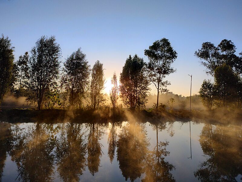 Xochimilco Reserve