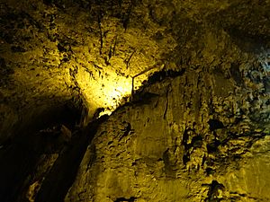 02b La Cuevona Asturias Ni