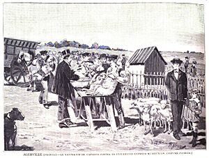 Archivo:1883-11-15, La Ilustración Española y Americana, Agerville (Francia).—La vacunación de carneros contra la enfermedad llamada «carbunco» (sistema Pasteur)
