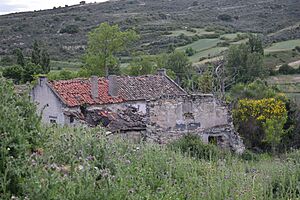 Archivo:20240518 MONTARRON VIEJO 4