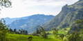 2 Panoramica vereda