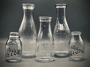 Archivo:Abbotts Glass Milk Bottles 1920s-1960s