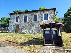 Anda (11486).jpg