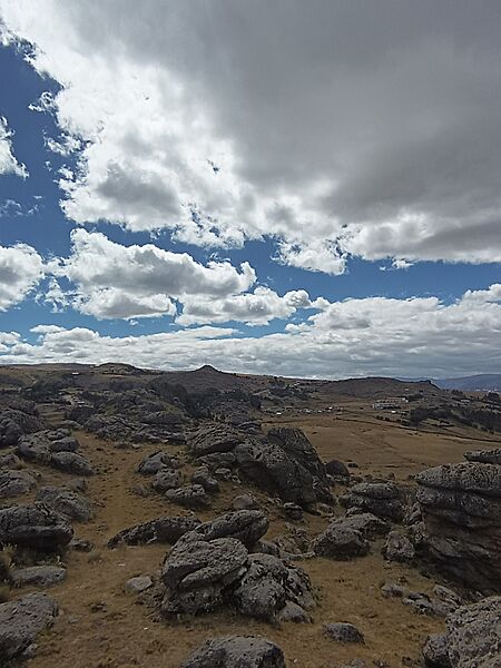 BOSQUE DE PIEDRAS DE SACHAPITE
