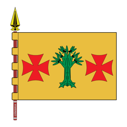 Bandeira de Oímbra Ourense