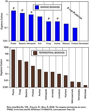 Archivo:Biomass by life form