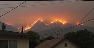 Archivo:Bobcat Fire, Los Angeles, San Gabriel Mountains