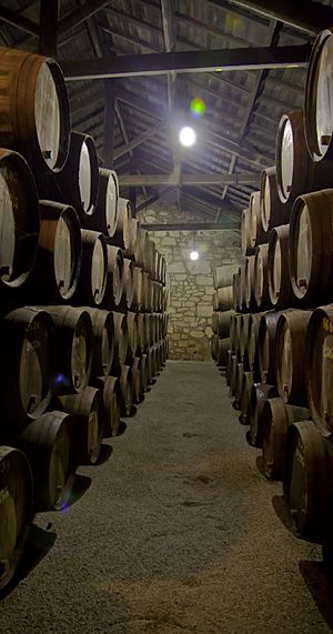 Archivo:Bodega Croft, Vila Nova de Gaia, Portugal, 2012-05-09, DD 05