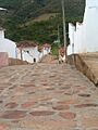 Calle betuliana1