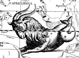 Archivo:Capricorn Hevelius