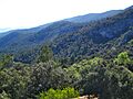 Carrasqueta (alcoi)