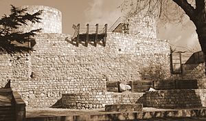 Archivo:Castillo burgos puerta