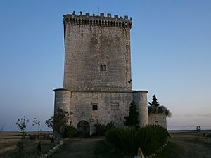 Archivo:Castillo de Mazuelo de Muñó - 1