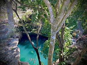 Archivo:Cenote Zaci, Valladolid, Yucatan, Mexico 30 Marzo 2021