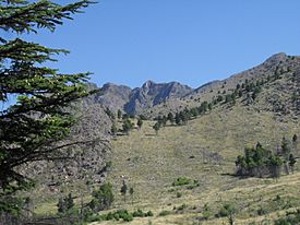 Cerro Ventana por D2000.JPG
