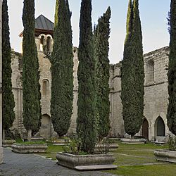 Archivo:Colegiata de Valladolid. Iglesia