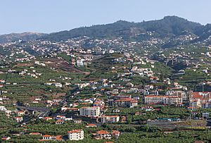 Archivo:Construción e agricultura en bancais. Funchal. Madeira -118