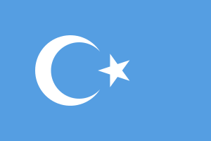 Archivo:Flag of Xinjiang Uyghur (East Turkestan)