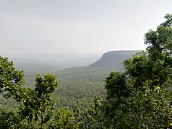 Flora of Chaiturgarh forest hills Korba , Chhattisgarh.jpg