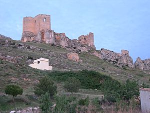 Archivo:HuesaDelComun-Castillo-Teruel1116(JLozano)