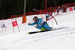 Archivo:Iver Bjerkestrand giant slalom Norway 2011
