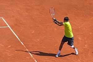 Archivo:JM Del Potro - Roland-Garros 2012-IMG 3494