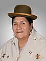 María Alanoca Tinta (Official Photo, 2020) Chamber of Deputies of Bolivia