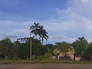 Archivo:Mariápolis 2020