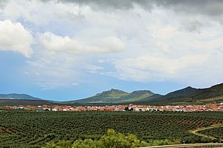 Oliva de Mérida-BA 02.JPG