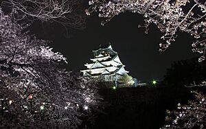 Archivo:Osaka Castle Keep Tower in 201504 016